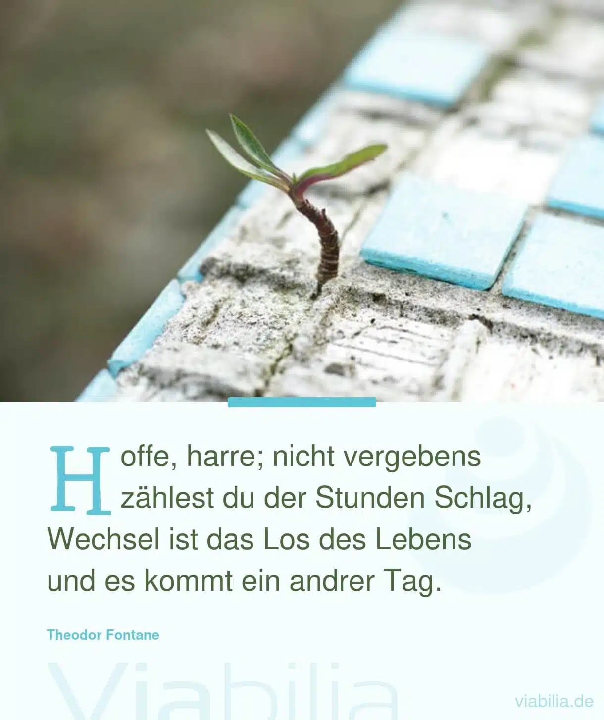 Gedicht: Hoffnung auf (positive) Veränderung Gedicht: Hoffnung auf (positive) Veränderung