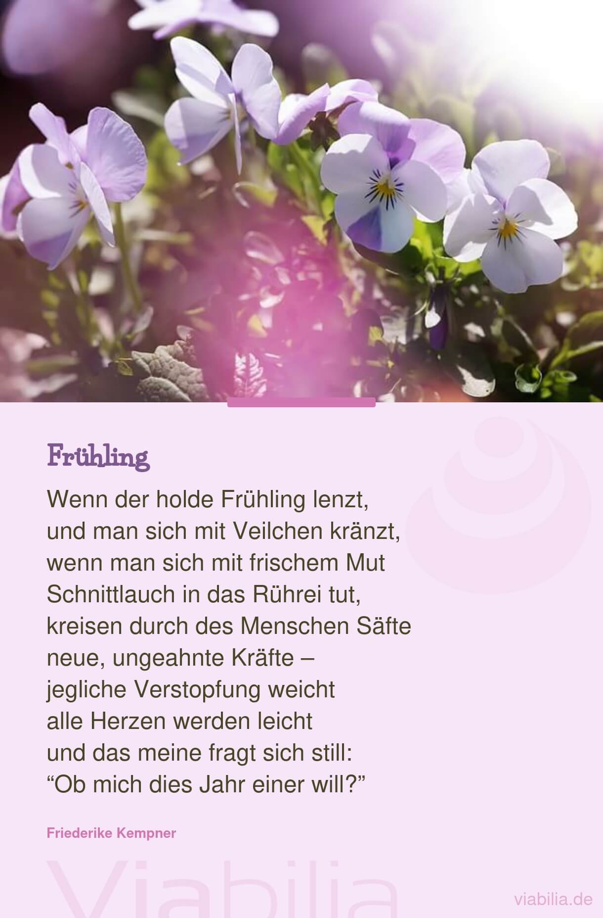 Gedicht: holder Frühling
