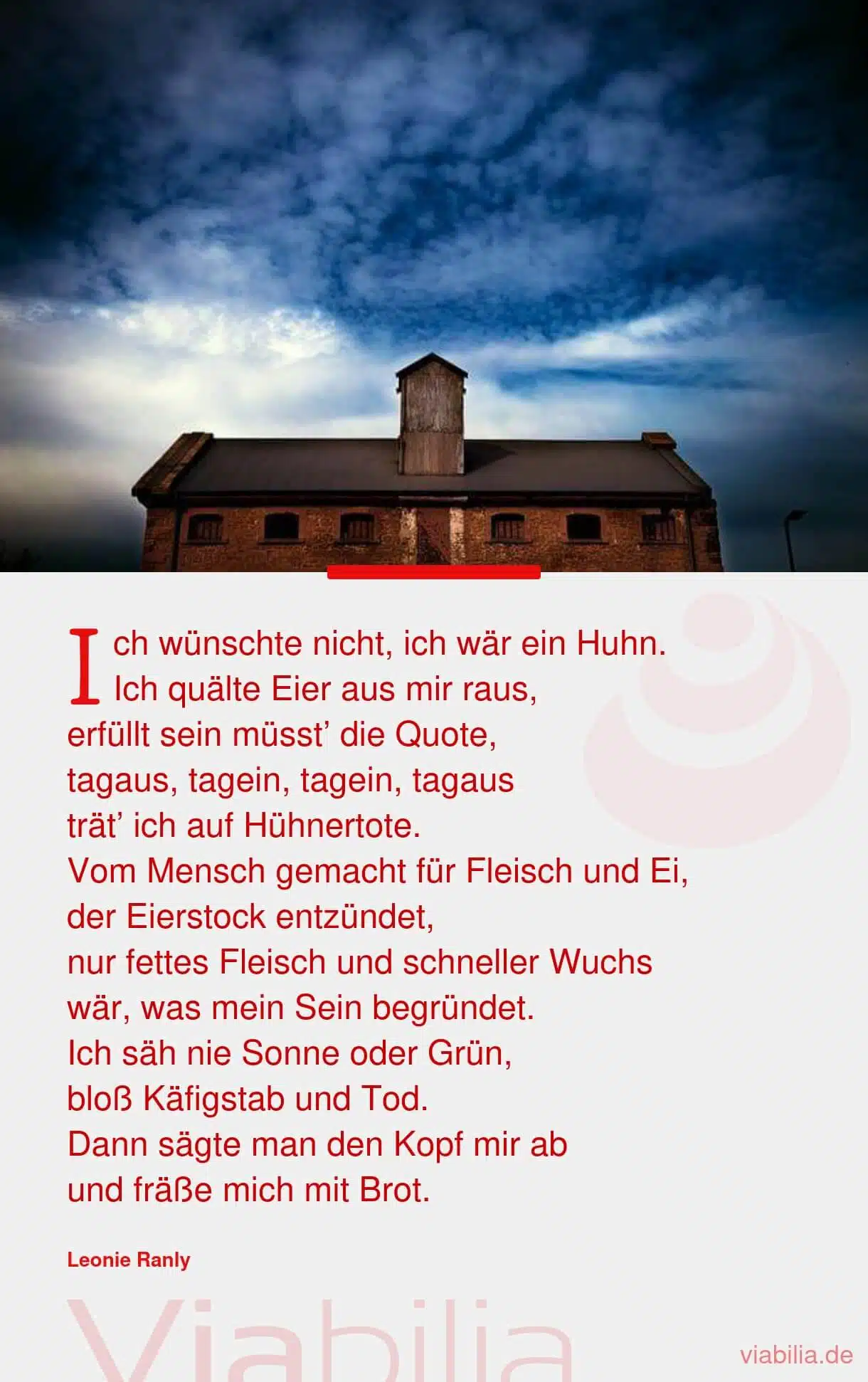 Gedicht: ich wünschte nicht, ich wär ein Huhn