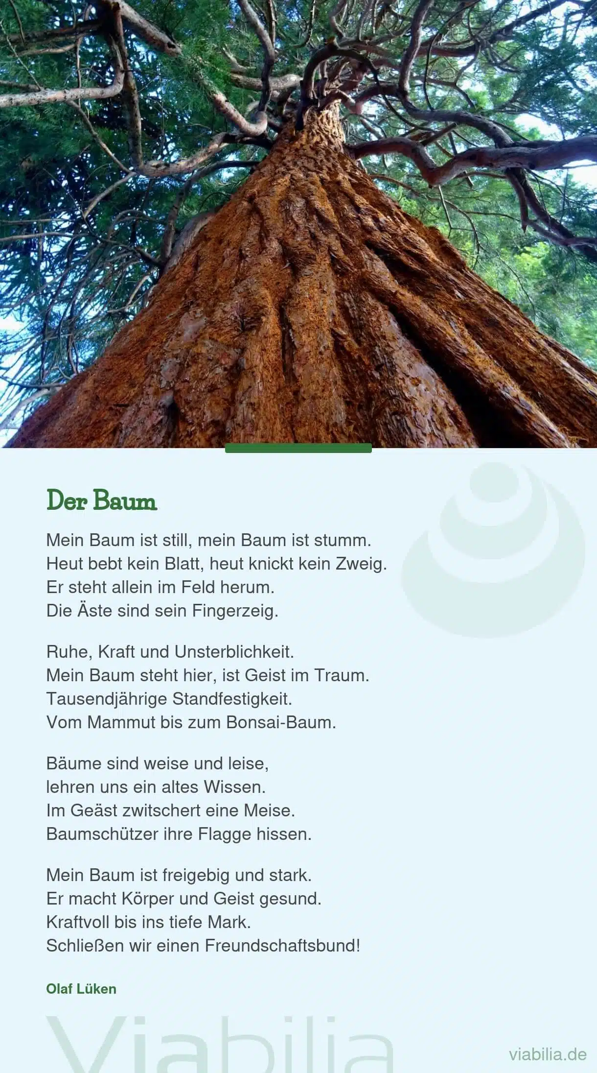 Gedicht von Olaf Lüken: der Baum