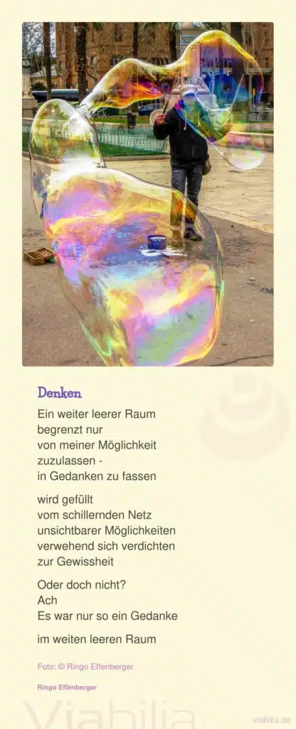 Ringo Effenberger Gedicht: Denken