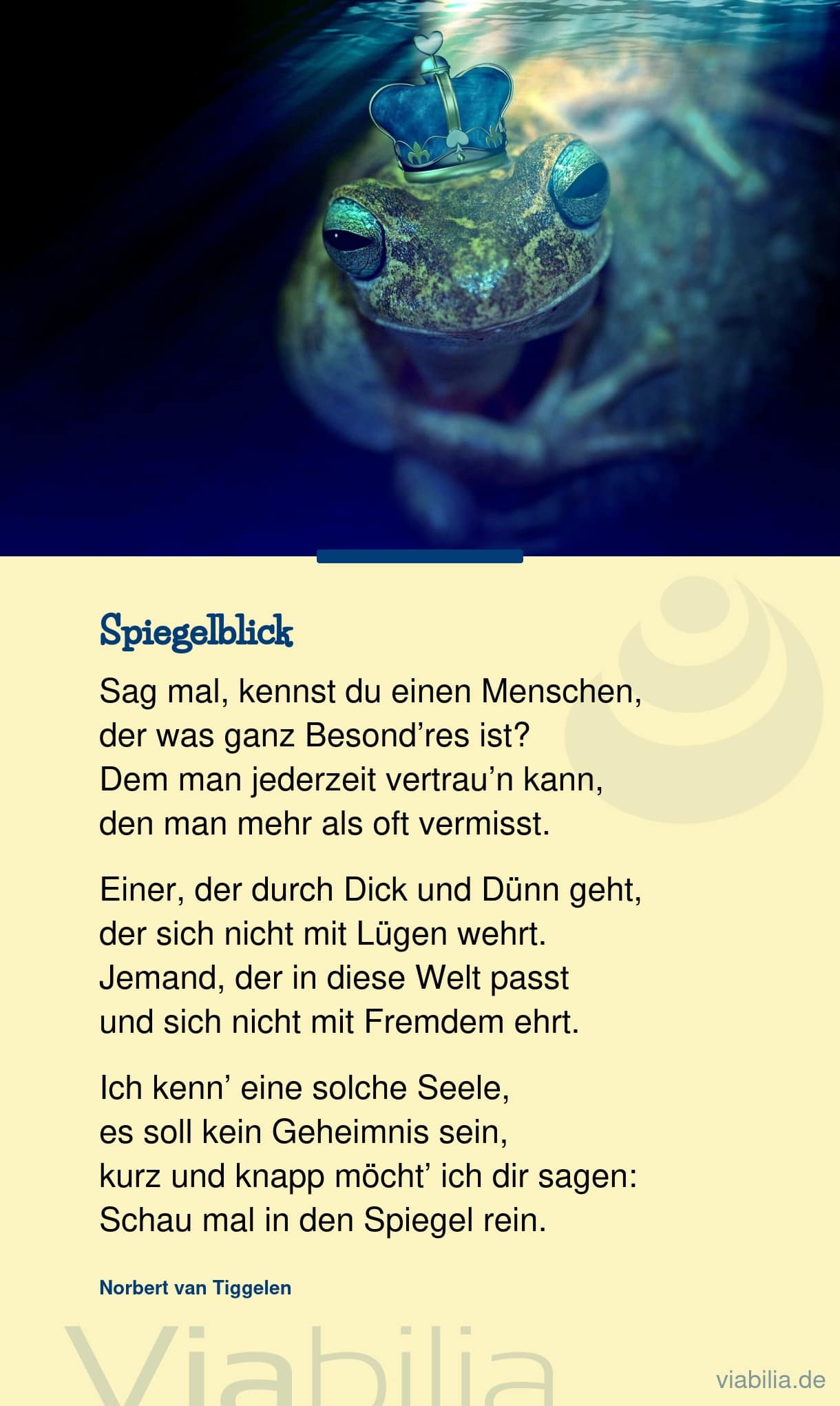 Gedicht von Norbert van Tiggelen: Spiegelblick