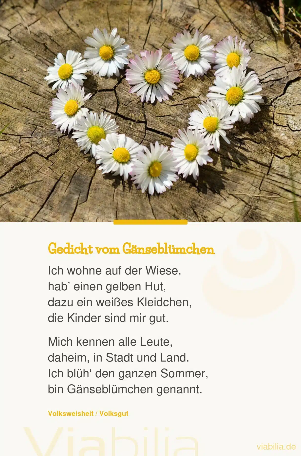 Gedicht vom Gänseblümchen