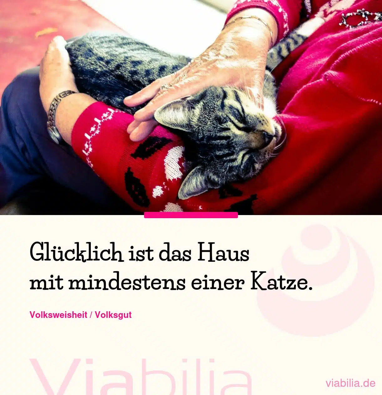 Katzensprüche, hier: Glücklich ist das Haus mit einer Katze