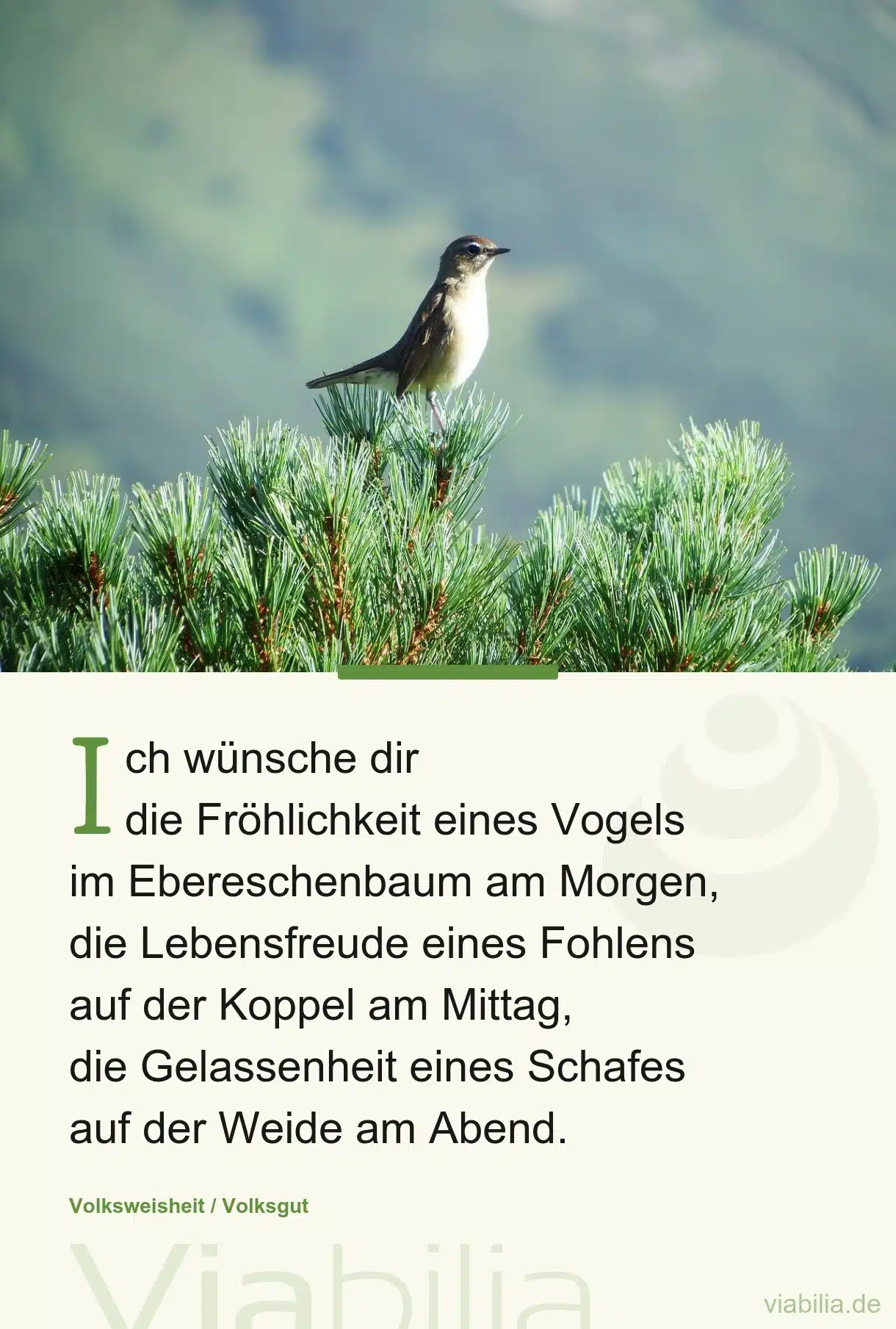 Irische Segenswünsche für Fröhlichkeit und Lebensfreude Irische Segenswünsche für Fröhlichkeit und Lebensfreude