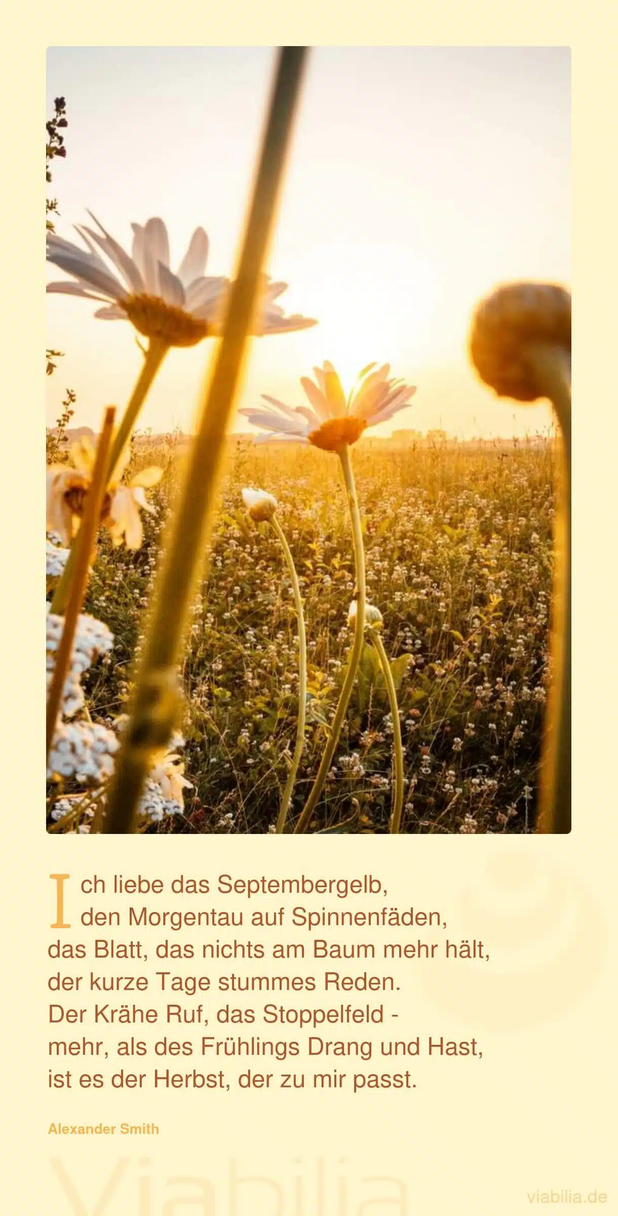 Herbstgrüße für WhatsApp und schöne Herbstsprüche