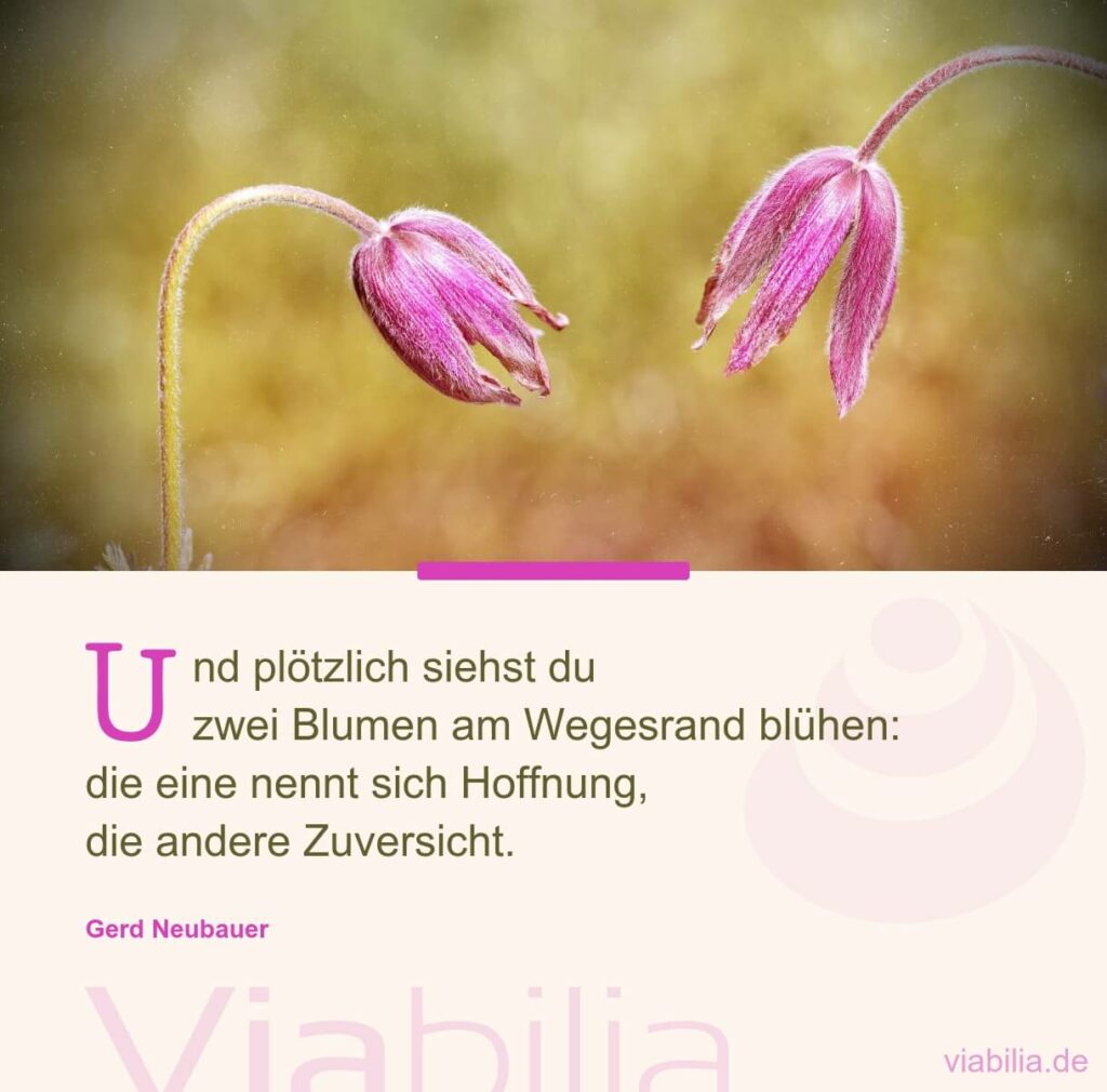 Gerd Neubauer Trauerspruch: Blumen am Wegesrand