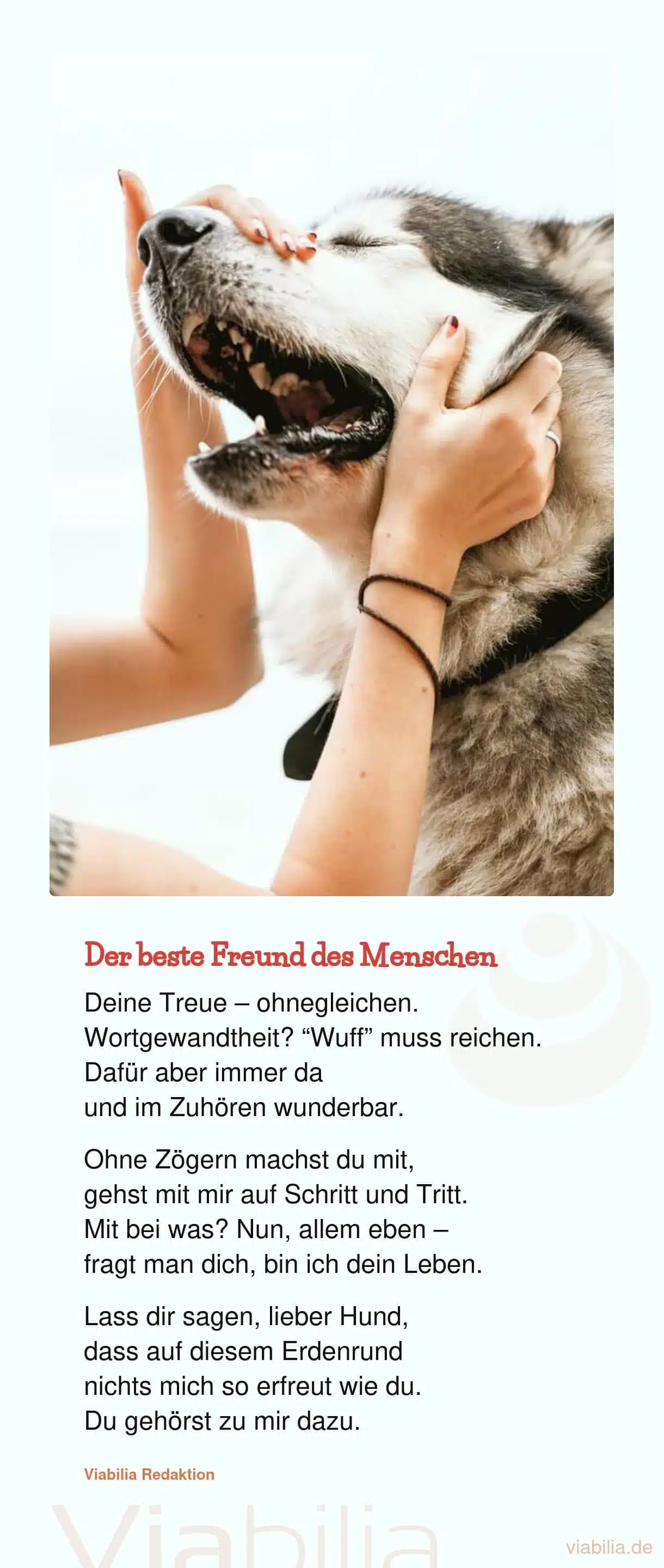 Gedicht über Hunde als besten Freund der Menschen