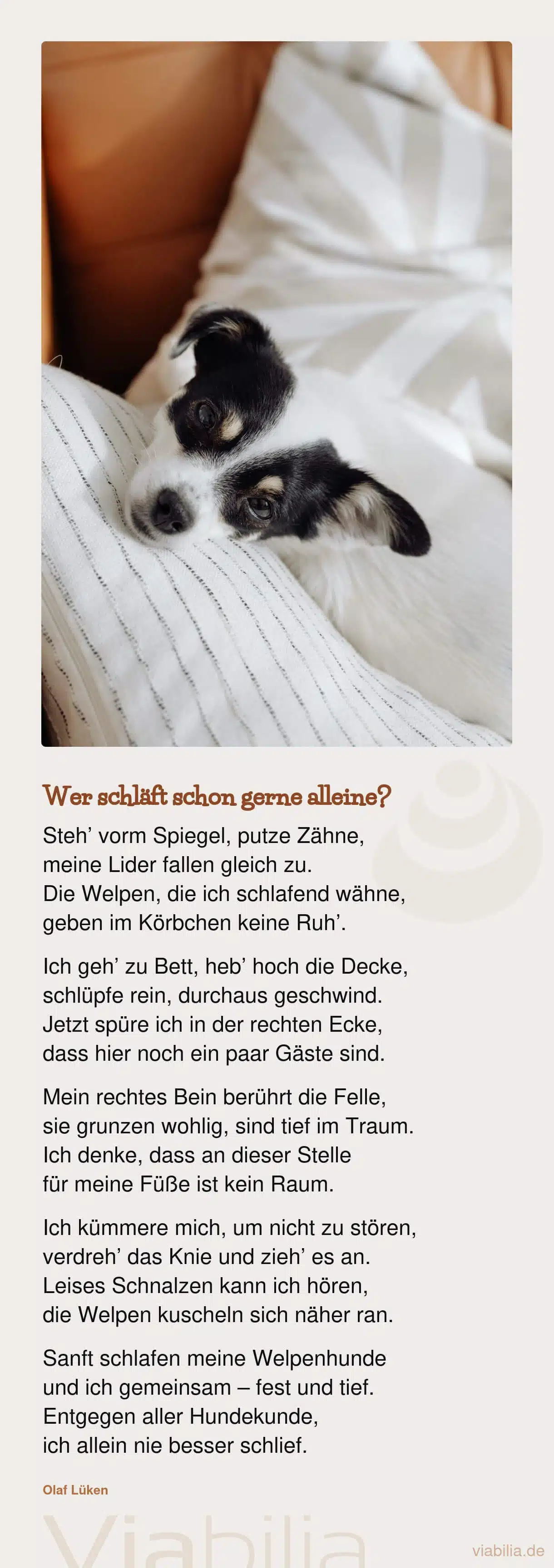 Lustiges Hundegedicht von Olaf Lüken: Wer schläft schon gerne alleine?