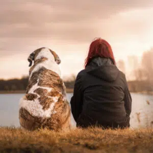 Weggefährten in Freundschaft und Liebe