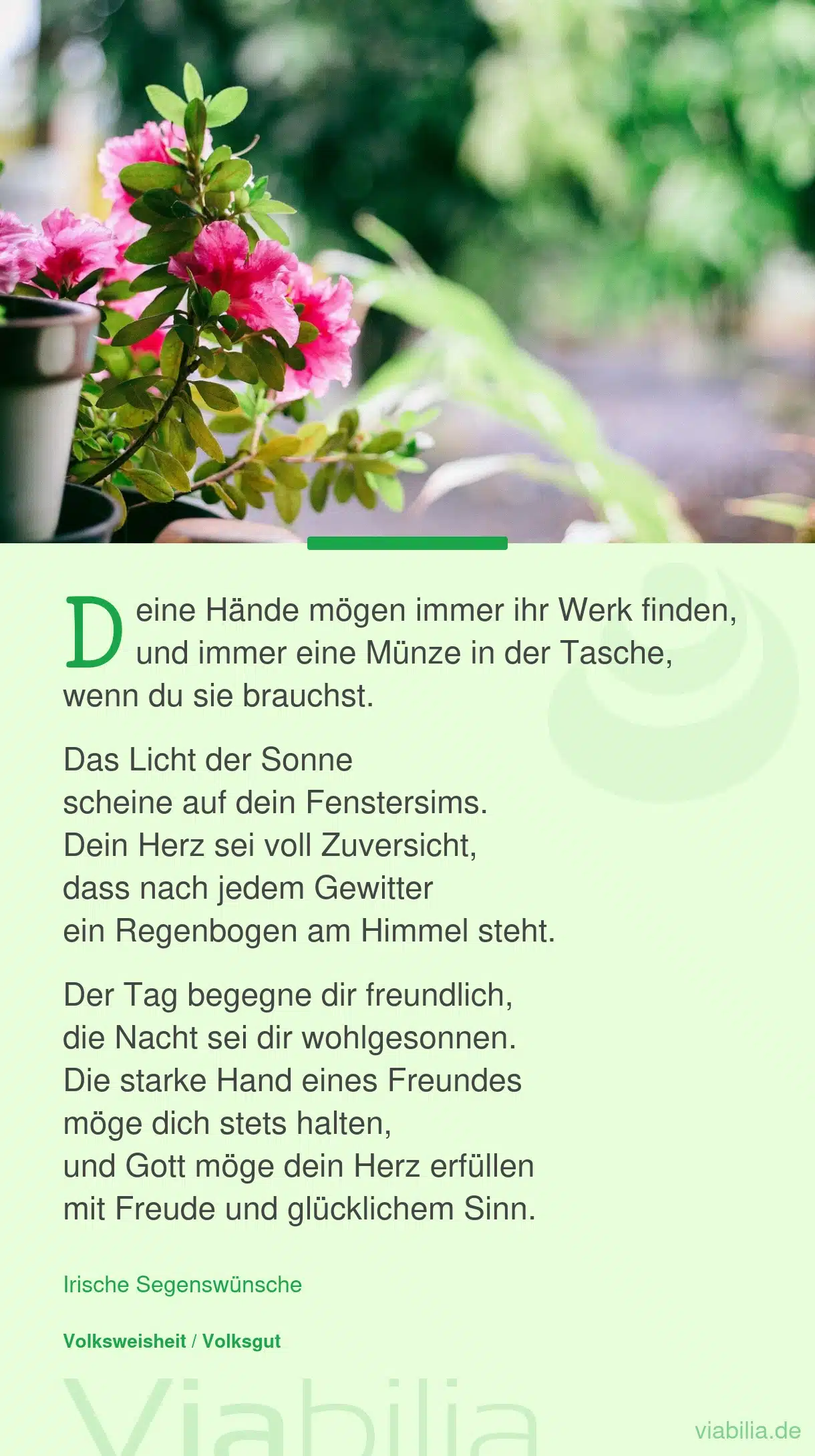 Irische Segenswünsche: Licht der Sonne Irische Segenswünsche: Licht der Sonne