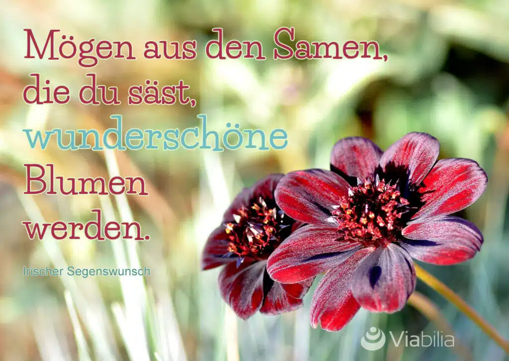 Liebevolle Guten Morgen-Grüße: ein schönes Frühstück Irische Segenswünsche für Kraft und Motivation