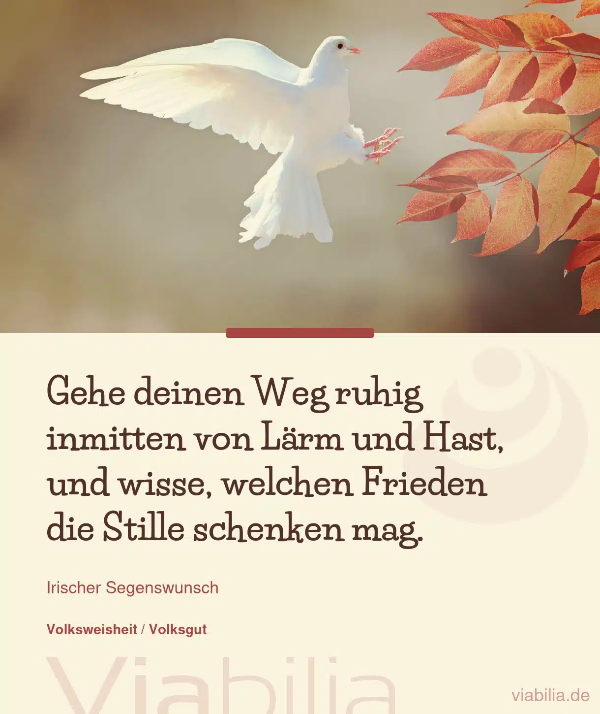 Irische Segenswünsche: Gehe deinen Weg in Stille Irische Segenswünsche: Gehe deinen Weg in Stille
