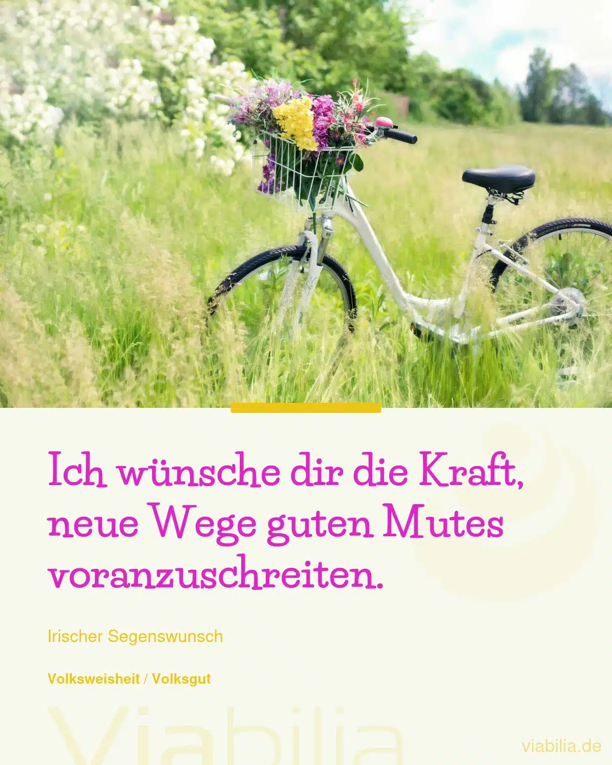 Gute Wünsche zum Aufbruch, neue Wege zu beschreiten Gute Wünsche zum Aufbruch, neue Wege zu beschreiten