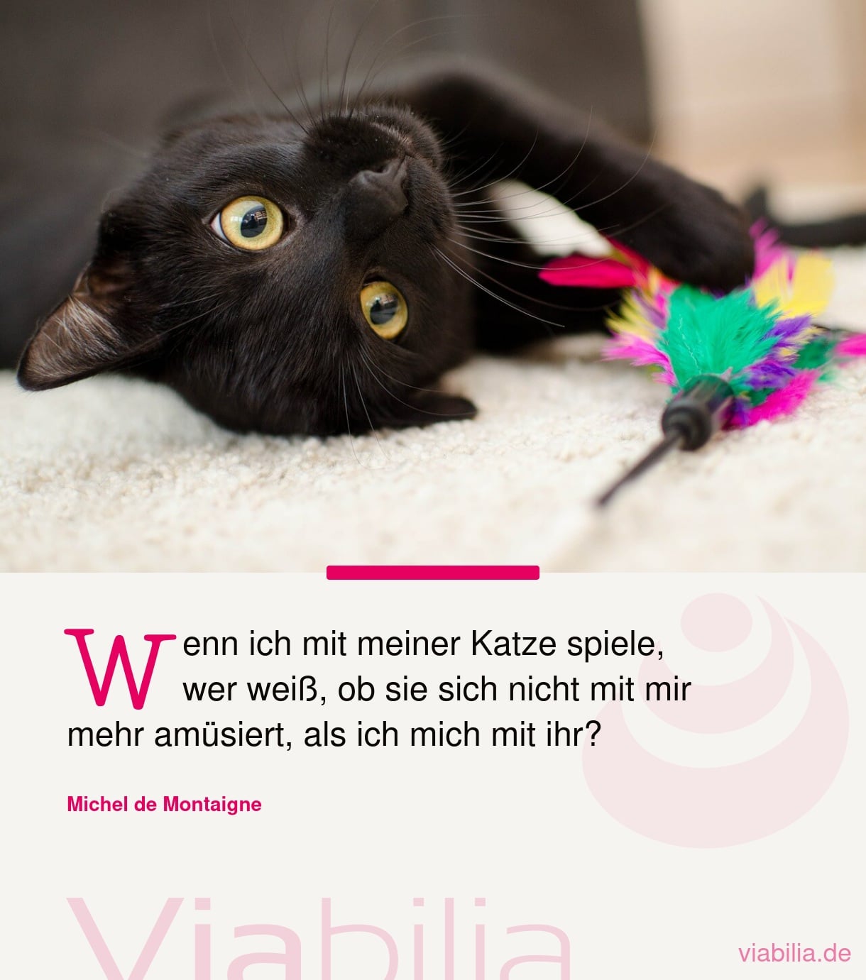 Netter Katzenspruch: Wenn ich mit meiner Katze spiele