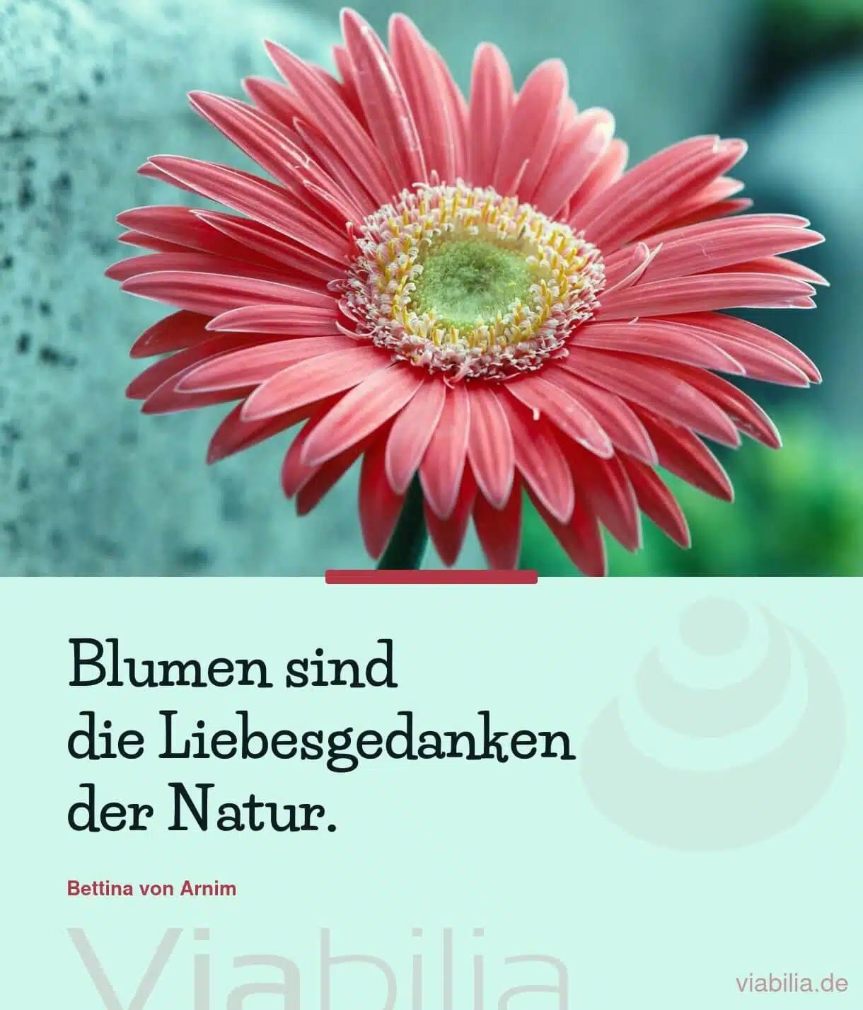 Kurzer Spruch über die Natur und Blumen