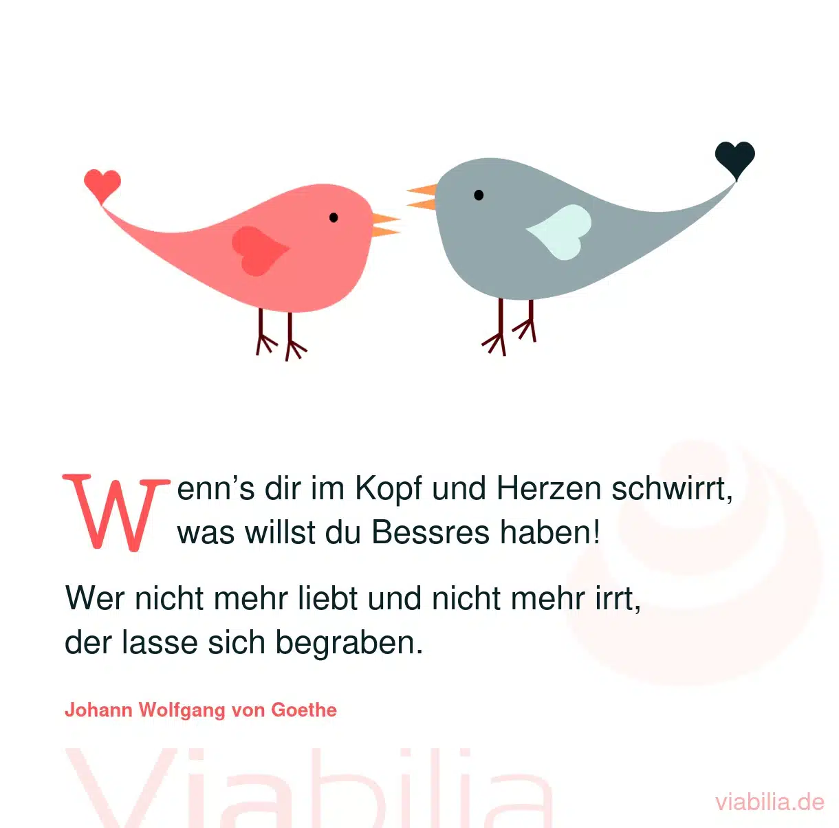 Kurzes Gedicht für Verliebte über die Liebe