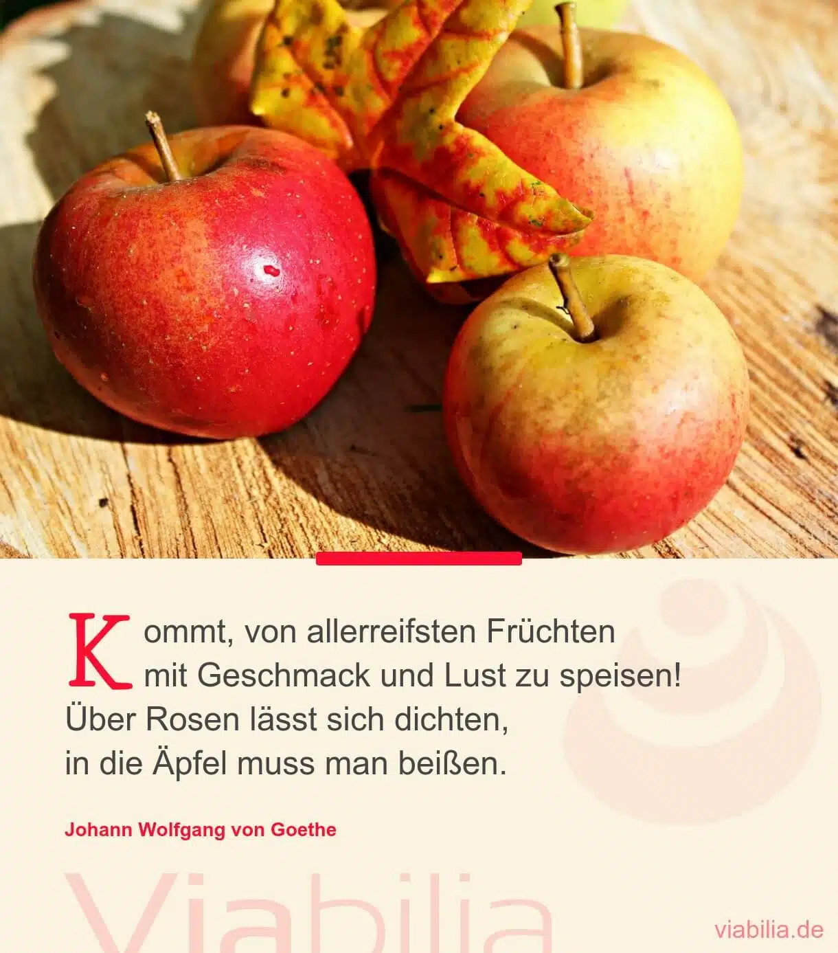 Kurzes Herbstgedicht über das Genießen