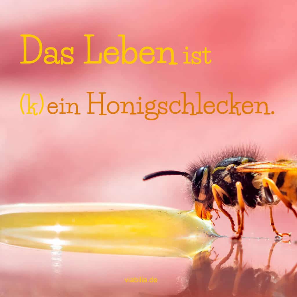 Das Leben ist (k)ein Honigschlecken.: Das Leben ist (k)ein Honigschlecken.