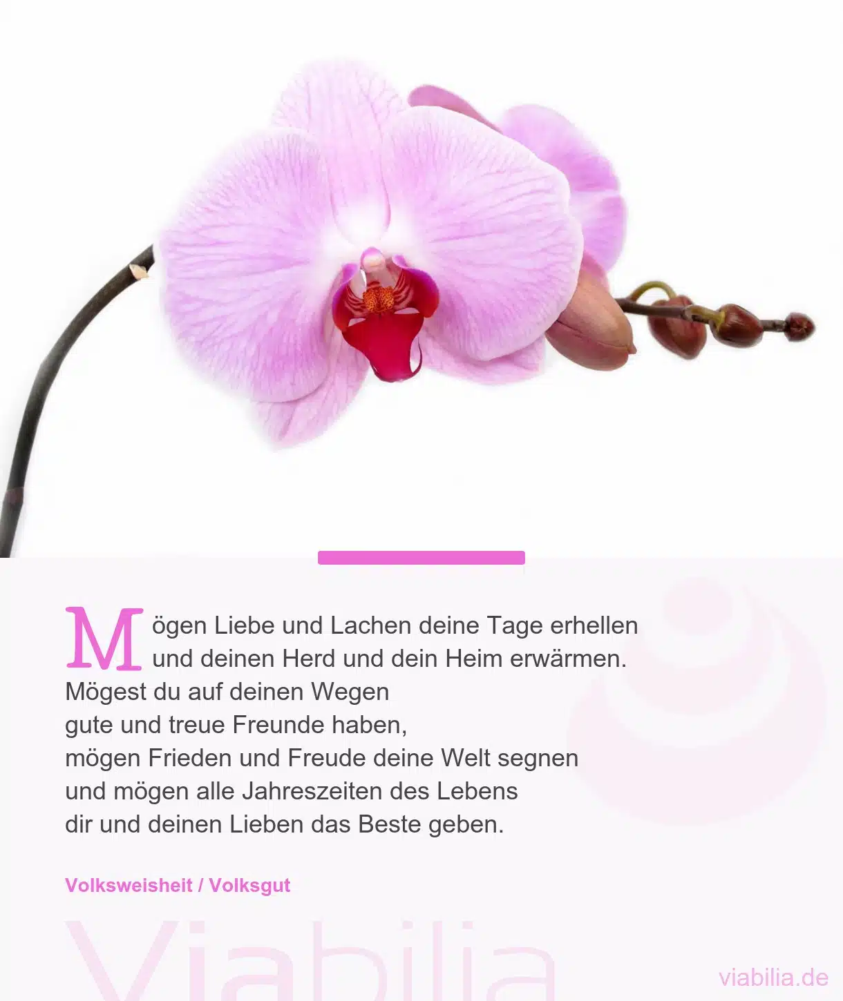 Irische Segenswünsche über Liebe und Lachen Irische Segenswünsche über Liebe und Lachen