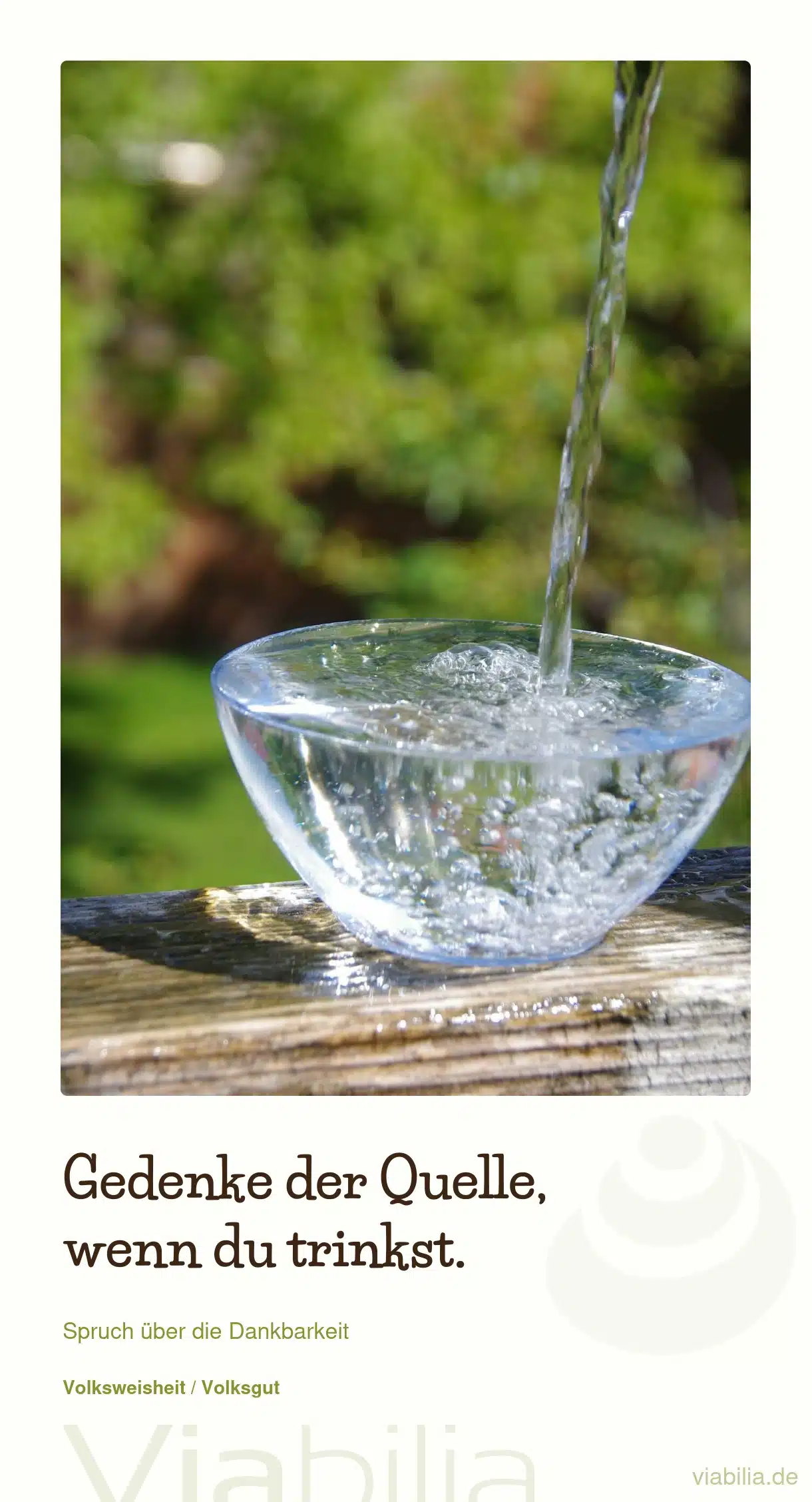 Zauberkraft der Dankbarkeit