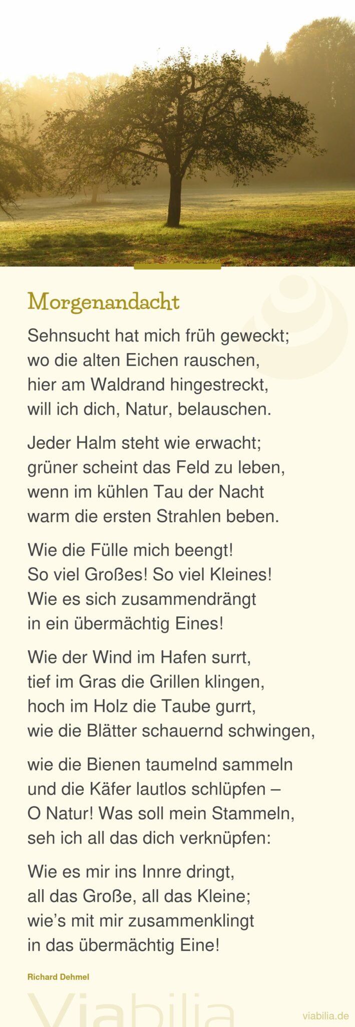 Morgenandacht: Gedicht über die Natur, die das Herz berührt