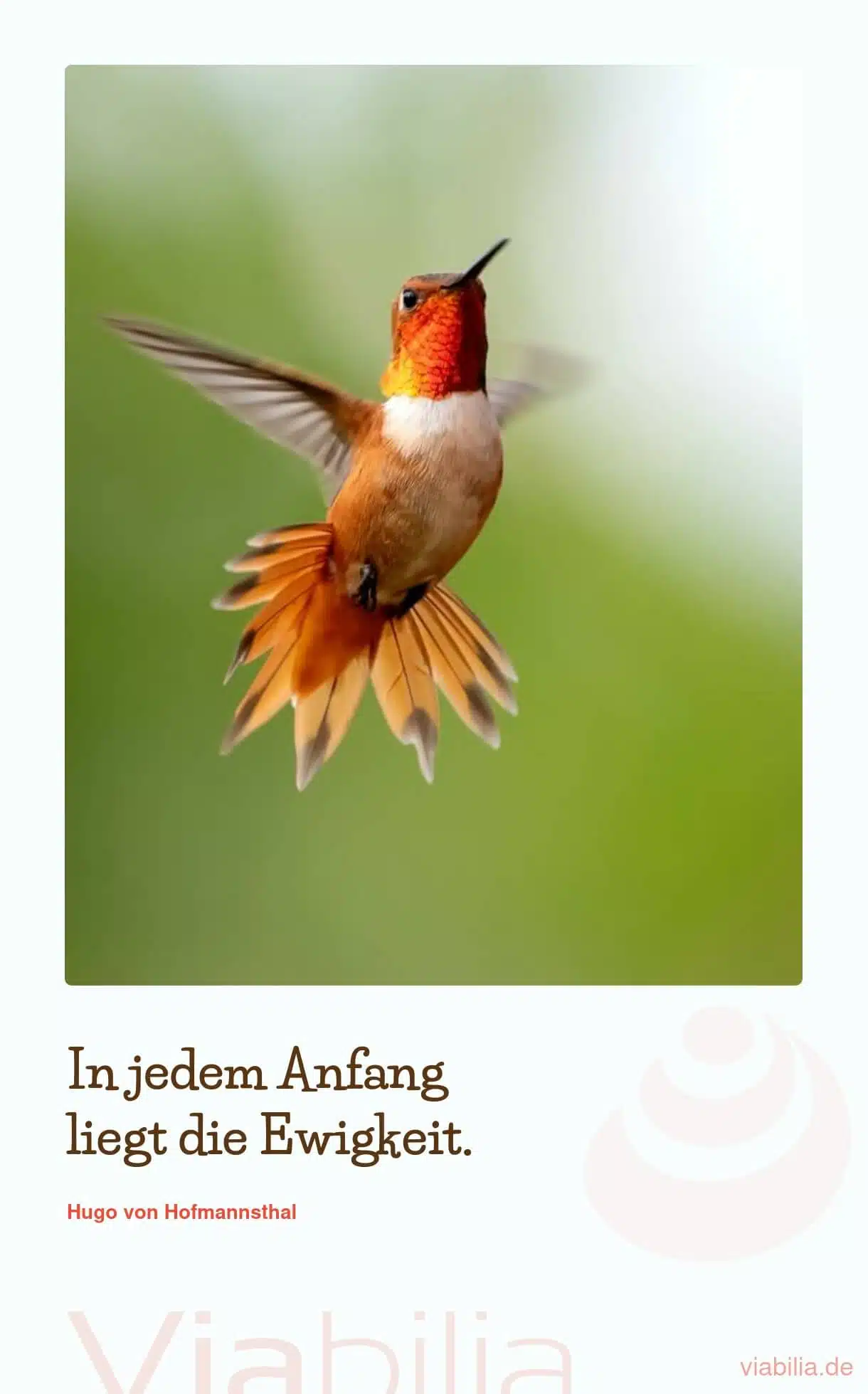 Motivierender Spruch über das Anfangen und die Ewigkeit Motivierender Spruch über das Anfangen und die Ewigkeit