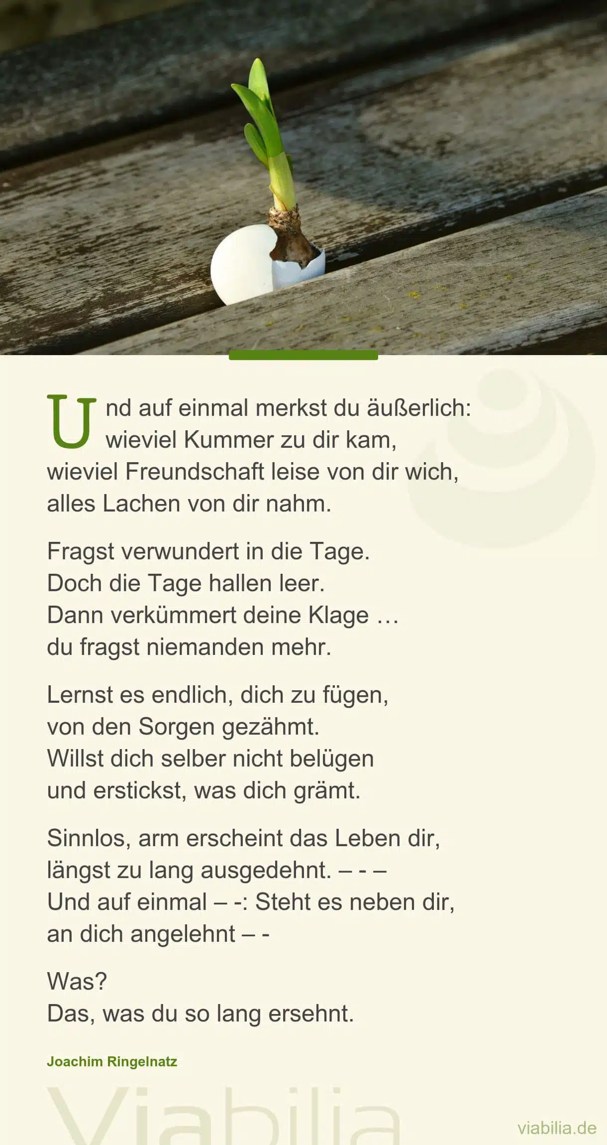 Mutmach-Spruch: Sehnen wird erfüllt Mutmach-Spruch: Sehnen wird erfüllt