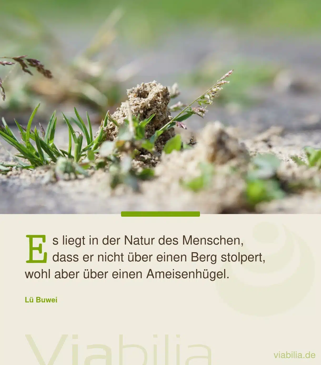 Spruch über die Natur des Menschen