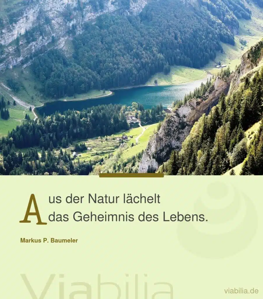 Markus Baumeler Naturspruch: Geheimnis des Lebens