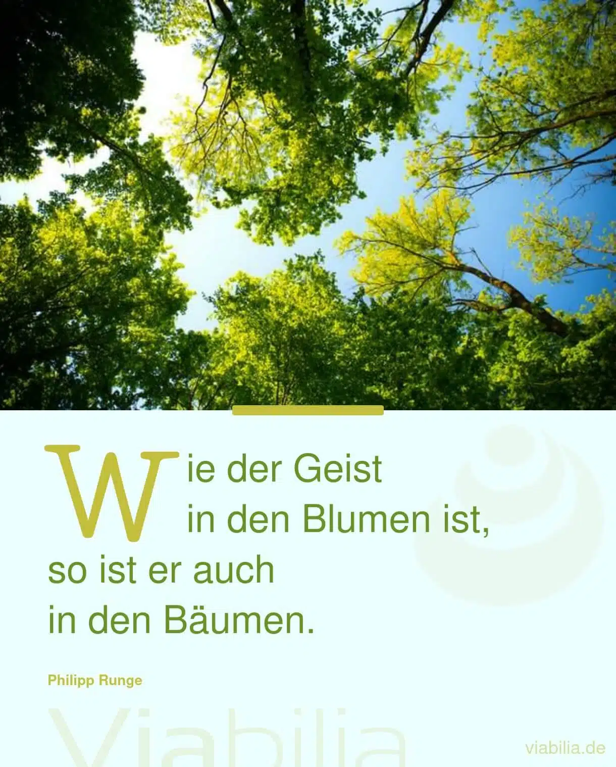 Der Geist, der der Natur innewohnt