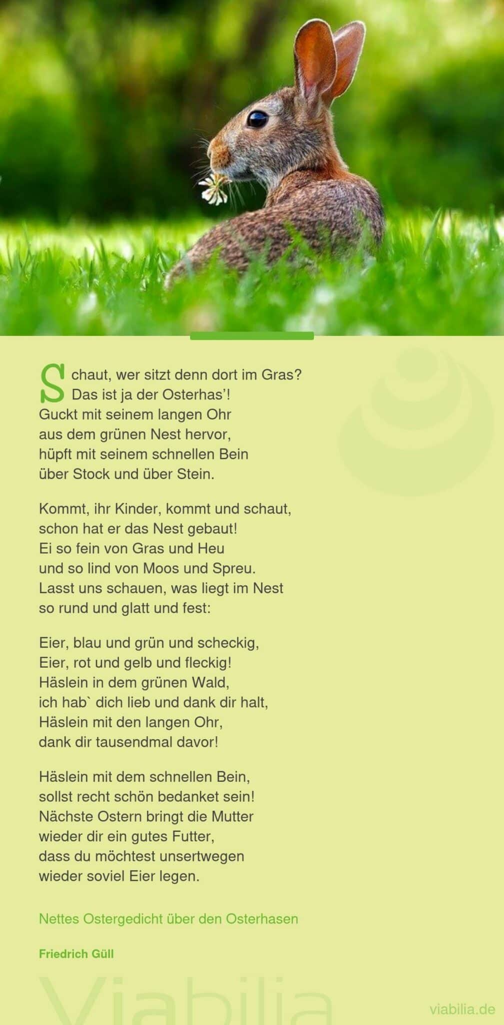 Nettes Gedicht über den Osterhasen Nettes Gedicht über den Osterhasen