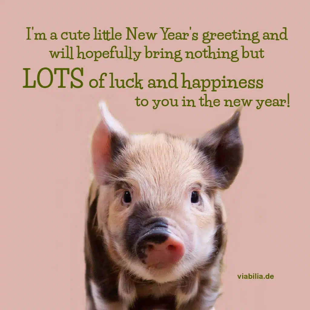 Kleiner Neujahrsgruß mit Schweinchen - englische Version