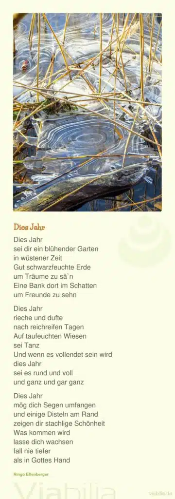 Ringo Effenberger Gedicht: Dies Jahr