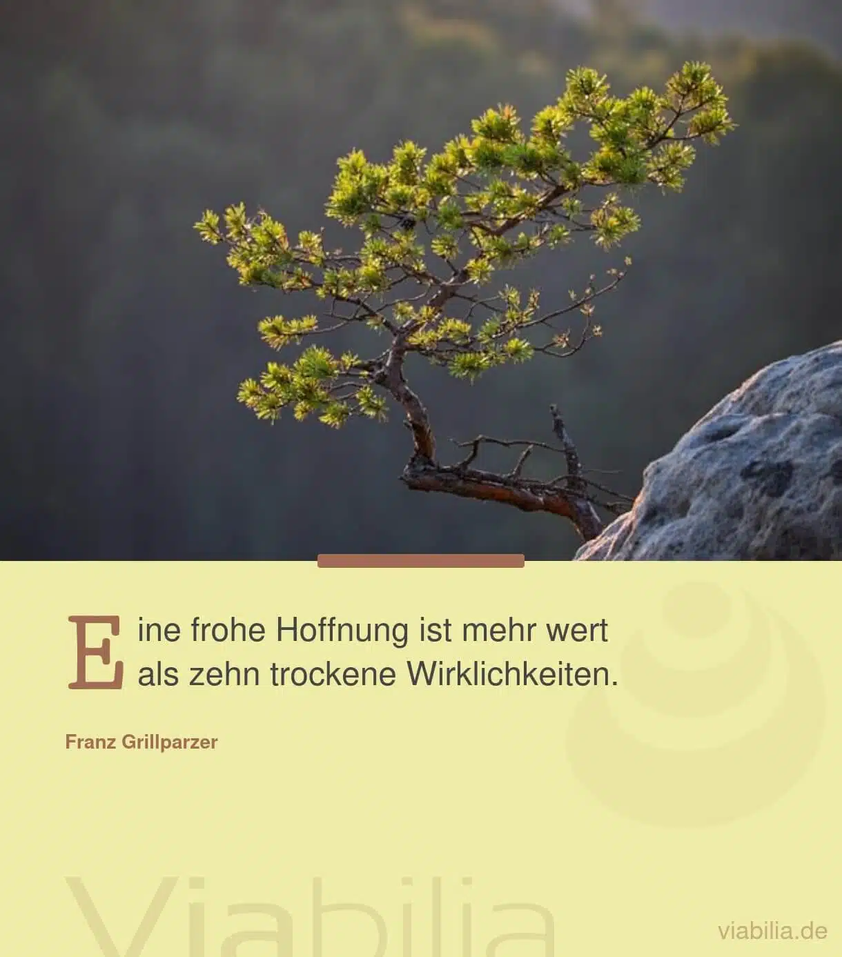 Neujahrswünsche für Hoffnung im neuen Jahr Neujahrswünsche für Hoffnung im neuen Jahr