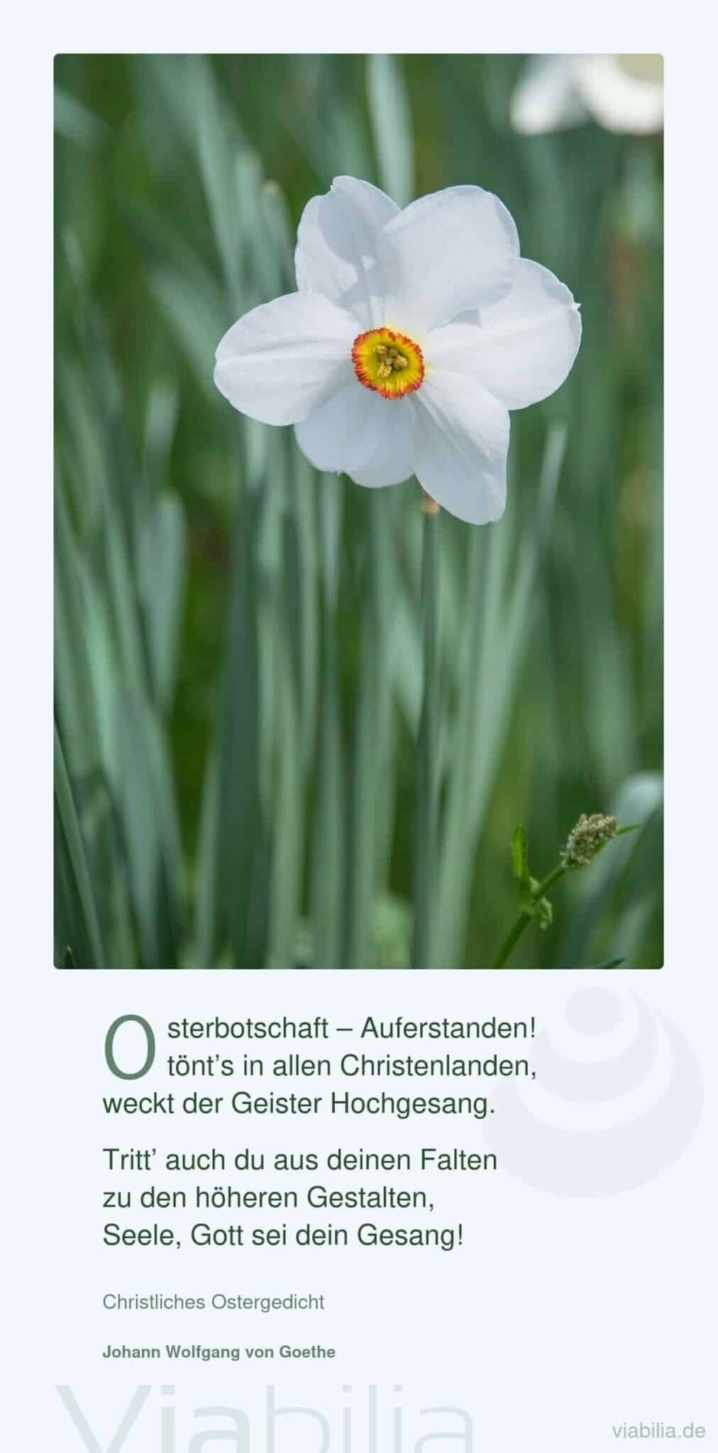 Kurzes Ostergedicht: Osterbotschaft auferstanden Kurzes Ostergedicht: Osterbotschaft auferstanden