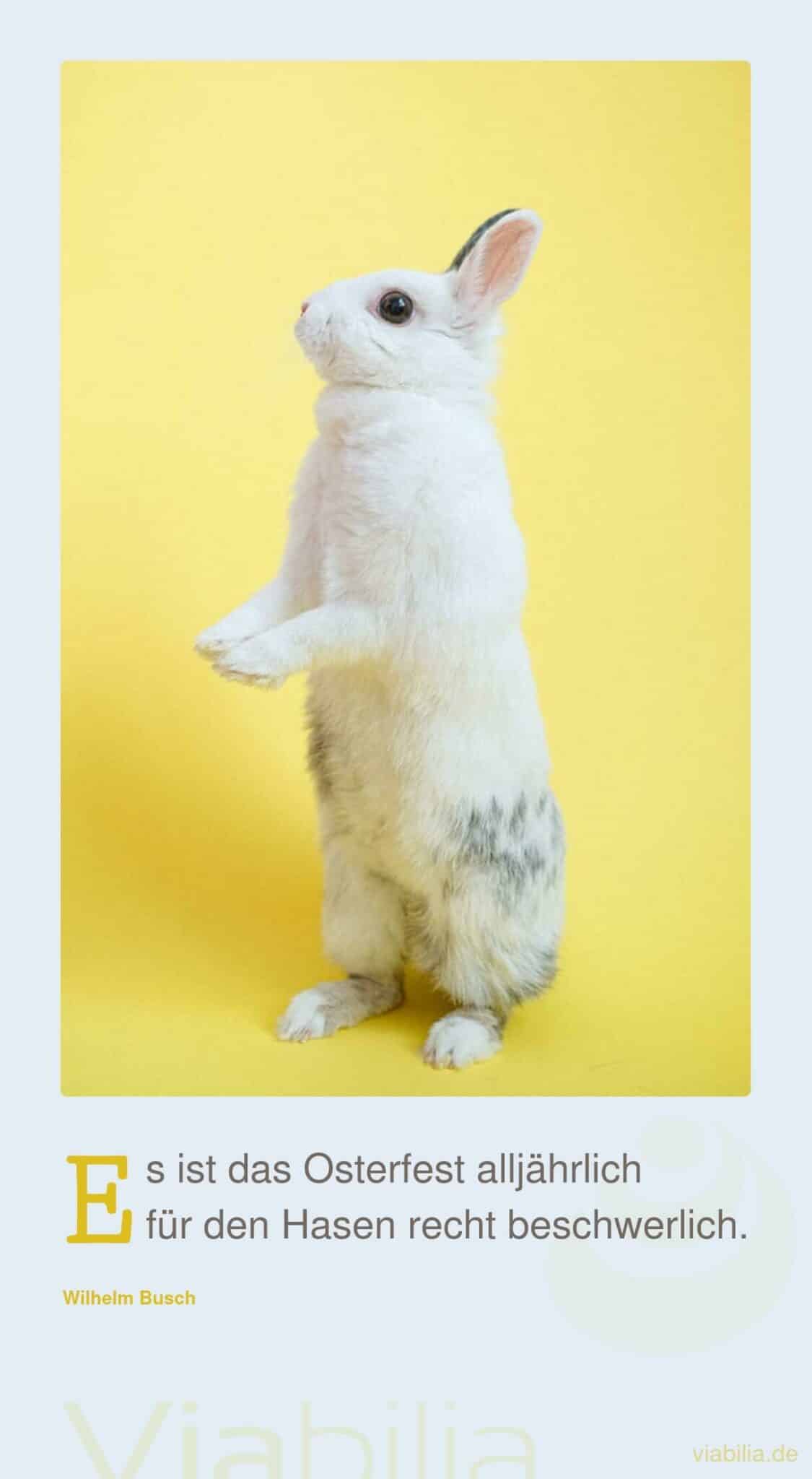 Kinderreim: kurzes Gedicht zu Ostern Kinderreim: kurzes Gedicht zu Ostern