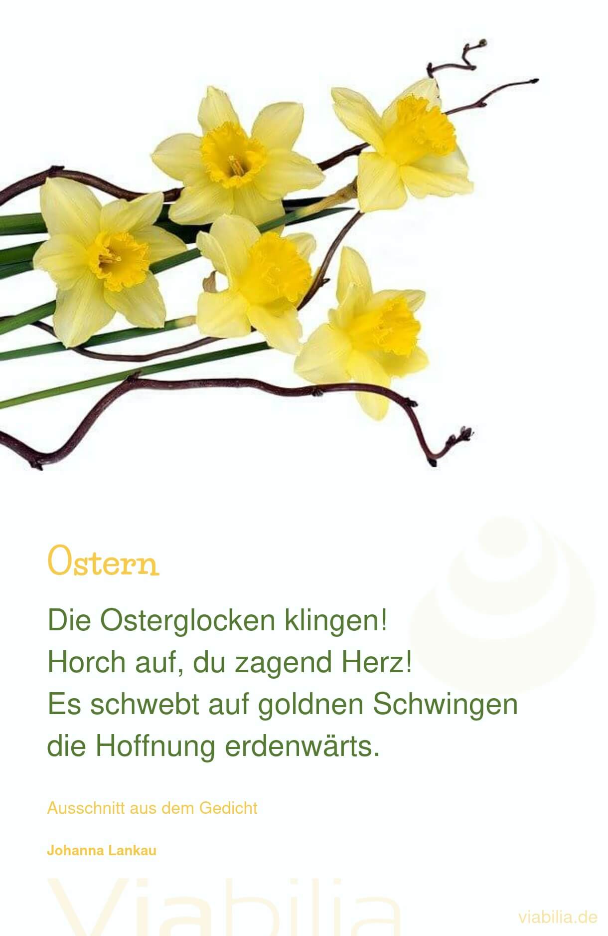 Fröhliches Ostergedicht: Osterglocken klingen Fröhliches Ostergedicht: Osterglocken klingen