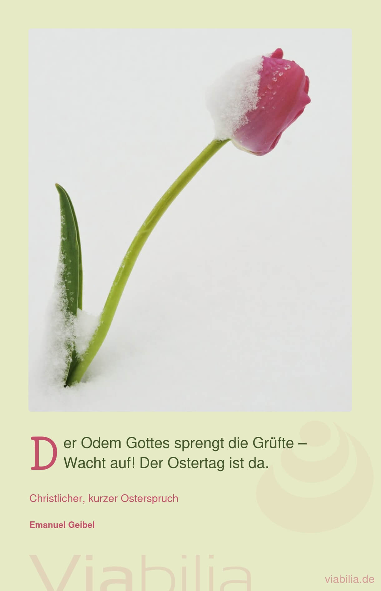 Ostern: der Odem Gottes Ostern: der Odem Gottes