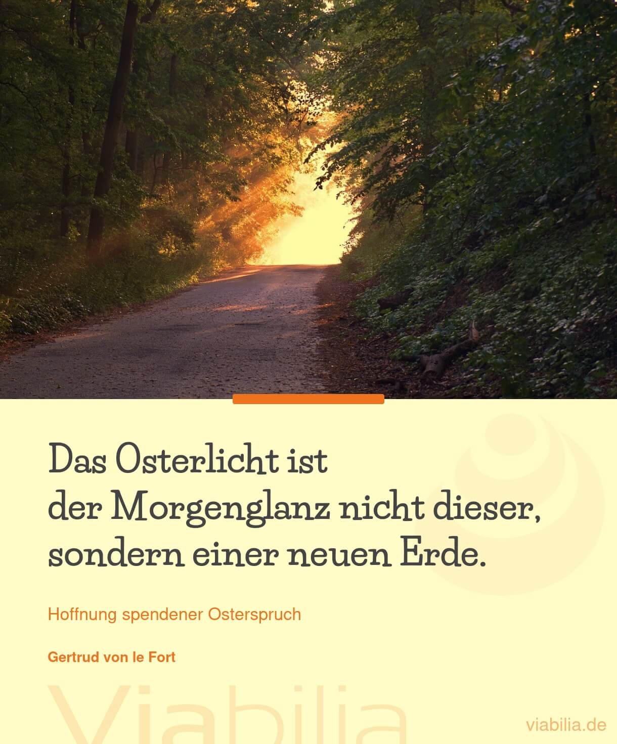 Ostern: Osterlicht und Morgenglanz Ostern: Osterlicht und Morgenglanz
