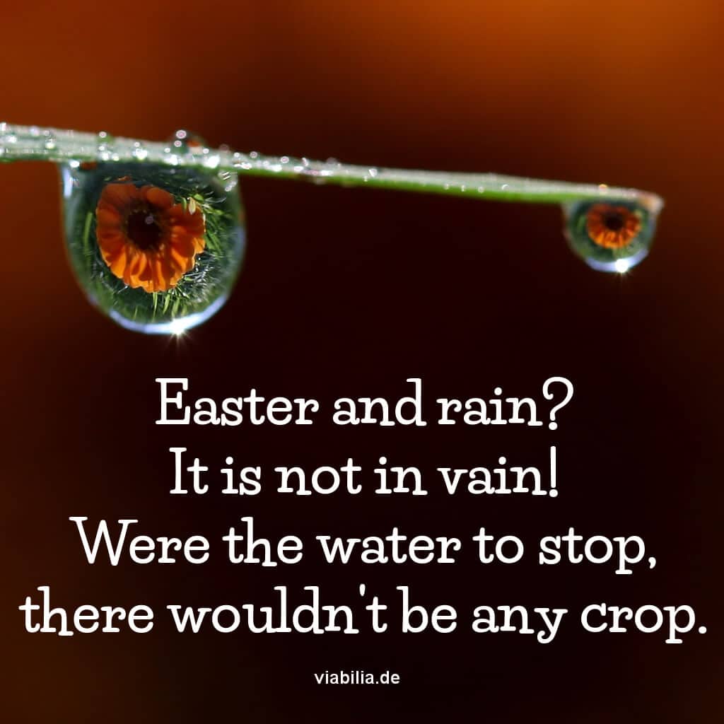 Ostergruß auf Englisch: Ostern im Regen