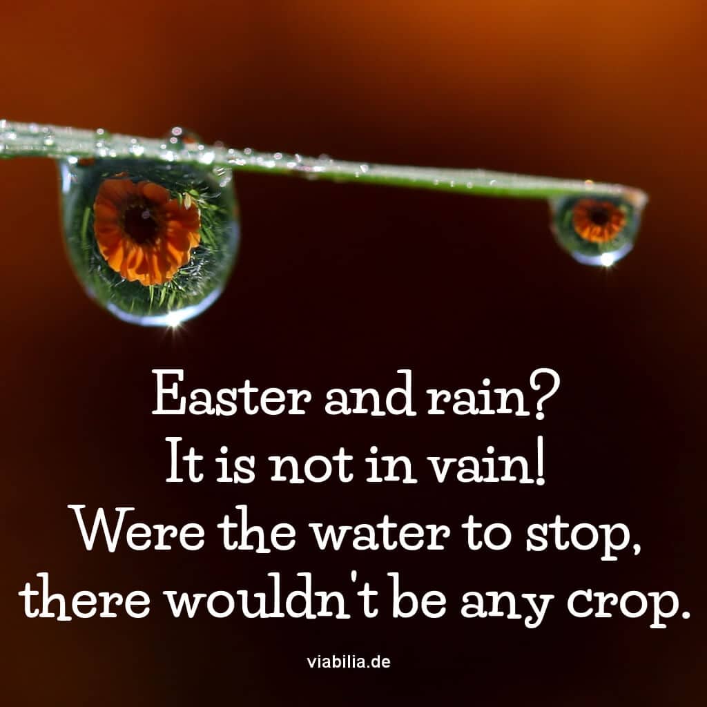 Ostergruß auf Englisch: Ostern im Regen Ostergruß auf Englisch: Ostern im Regen