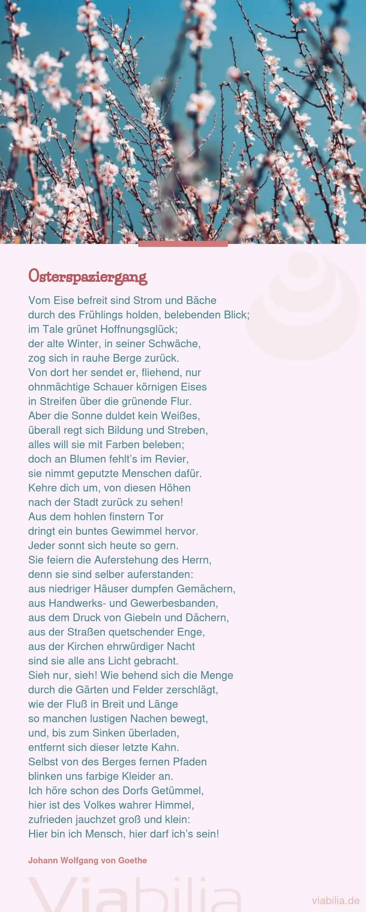 Moderne Oder Bekannte Ostergedichte Mit Schnen Osterbildern
