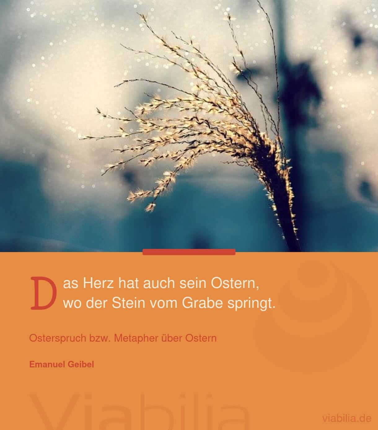 Kurzer Osterspruch, passend für Osterkarte Kurzer Osterspruch, passend für Osterkarte