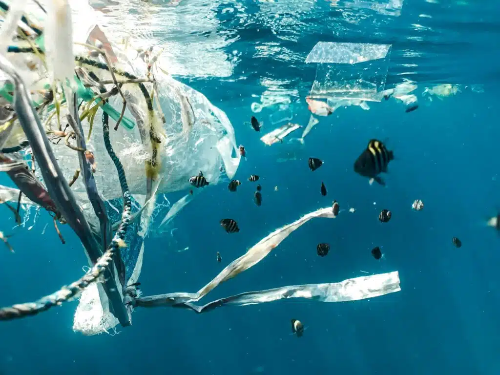 Umweltbewusste Hautpflege: 5 Gründe, warum nachhaltige Seife für Sie und für den Planeten gut ist Umweltbewusste Hautpflege: 5 Gründe, warum nachhaltige Seife für Sie und für den Planeten gut ist