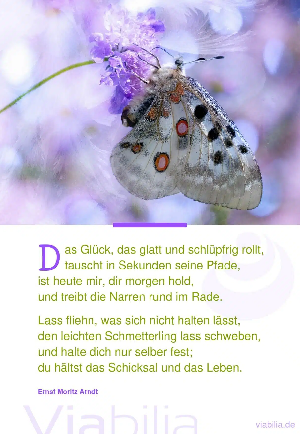 Schöner Spruch: sein Schicksal in der Hand halten Schöner Spruch: sein Schicksal in der Hand halten