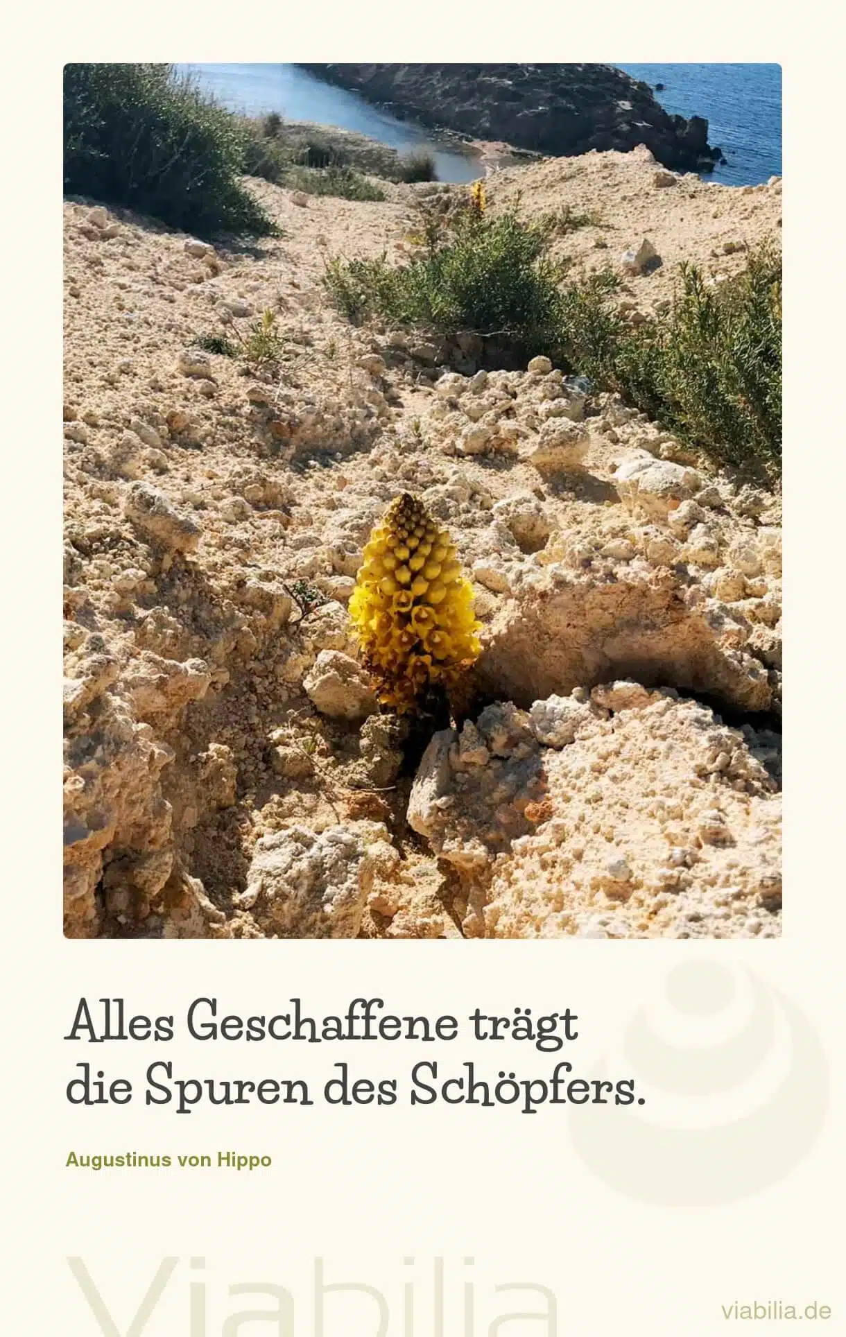 Schöner Spruch über Gottes Schöpfung