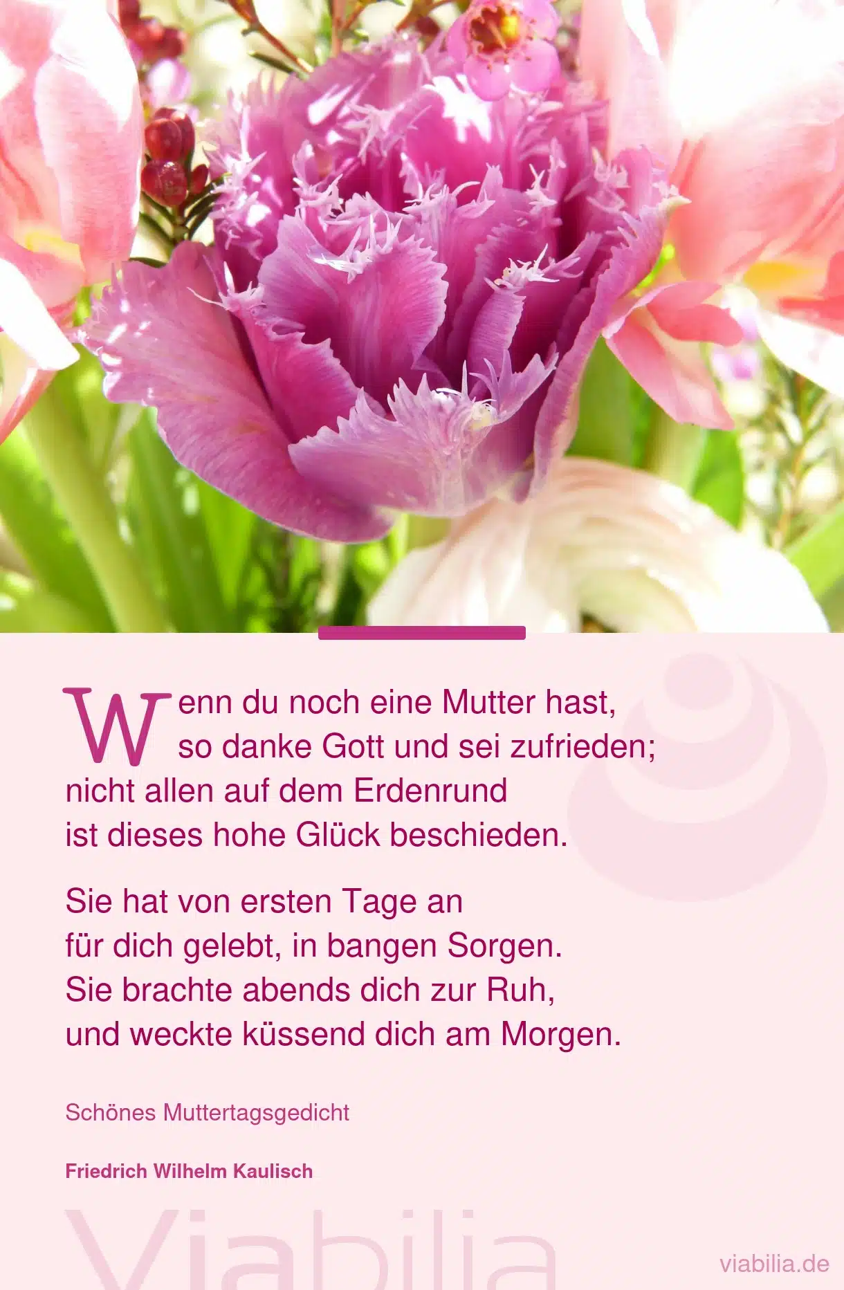 Muttertagsgedicht: wenn du noch eine Mutter hast