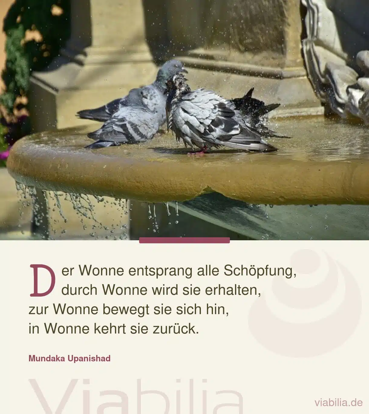 Spruch über die Schöpfung