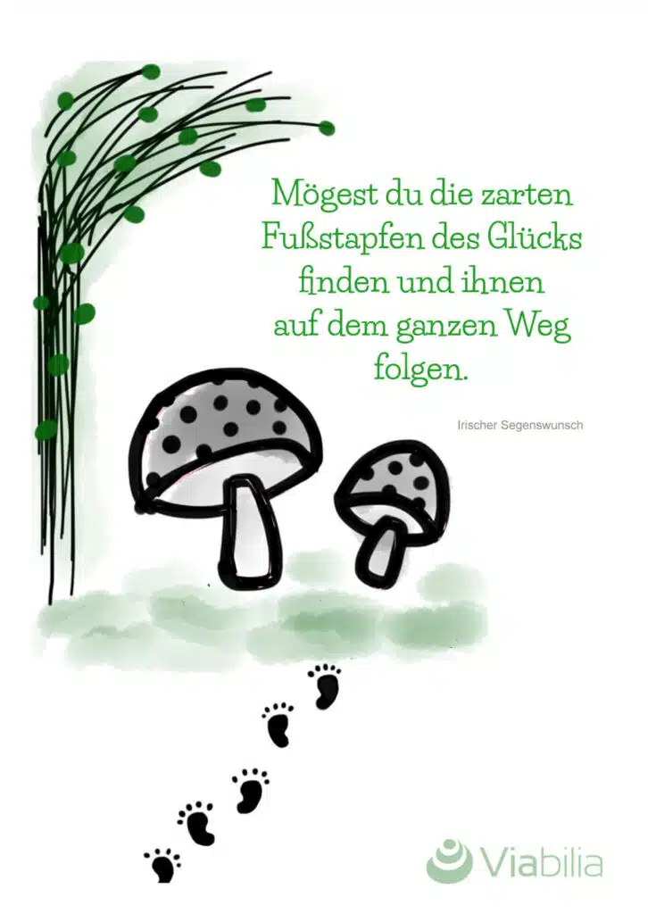 Einen süßen guten Morgen wünsche ich dir Irische Segenswünsche für Kraft und Motivation